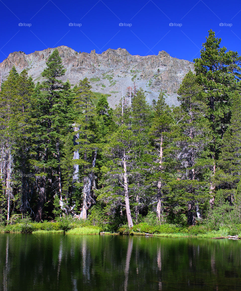 Lake in the Sierra Nevada Mountains