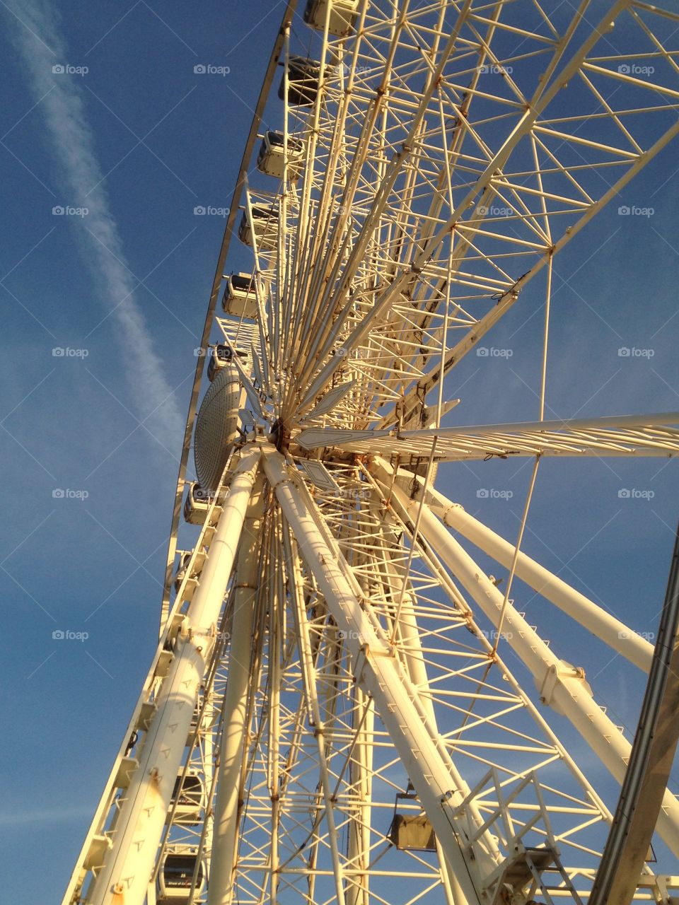  Brighton wheel