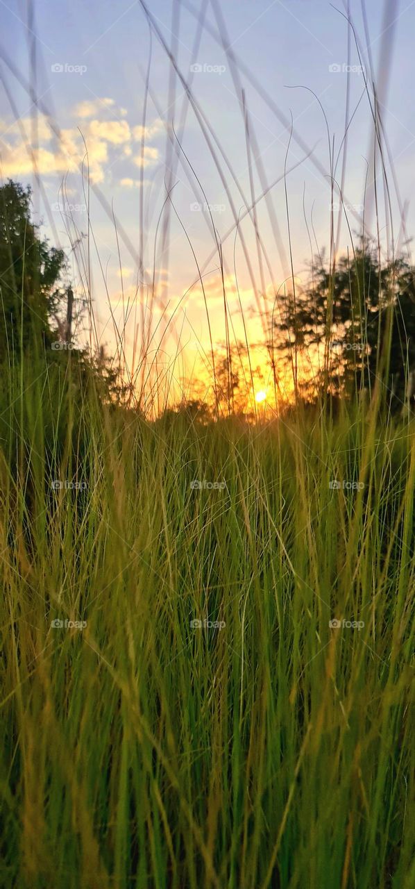 Sunsets are proof that no matter what happens, every day can end beautifully...