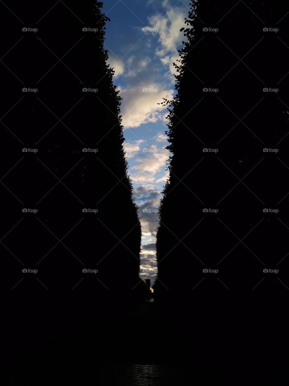 Natural Minimalistic Picture with a Line of Dawn Sky between Tall Trees

Beautiful Autumn Cloudscape