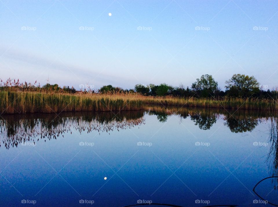 Moon in the pond