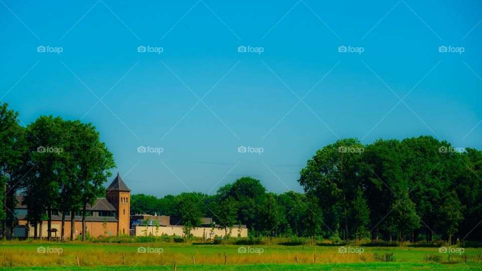 Landscape in Belgium during summer.