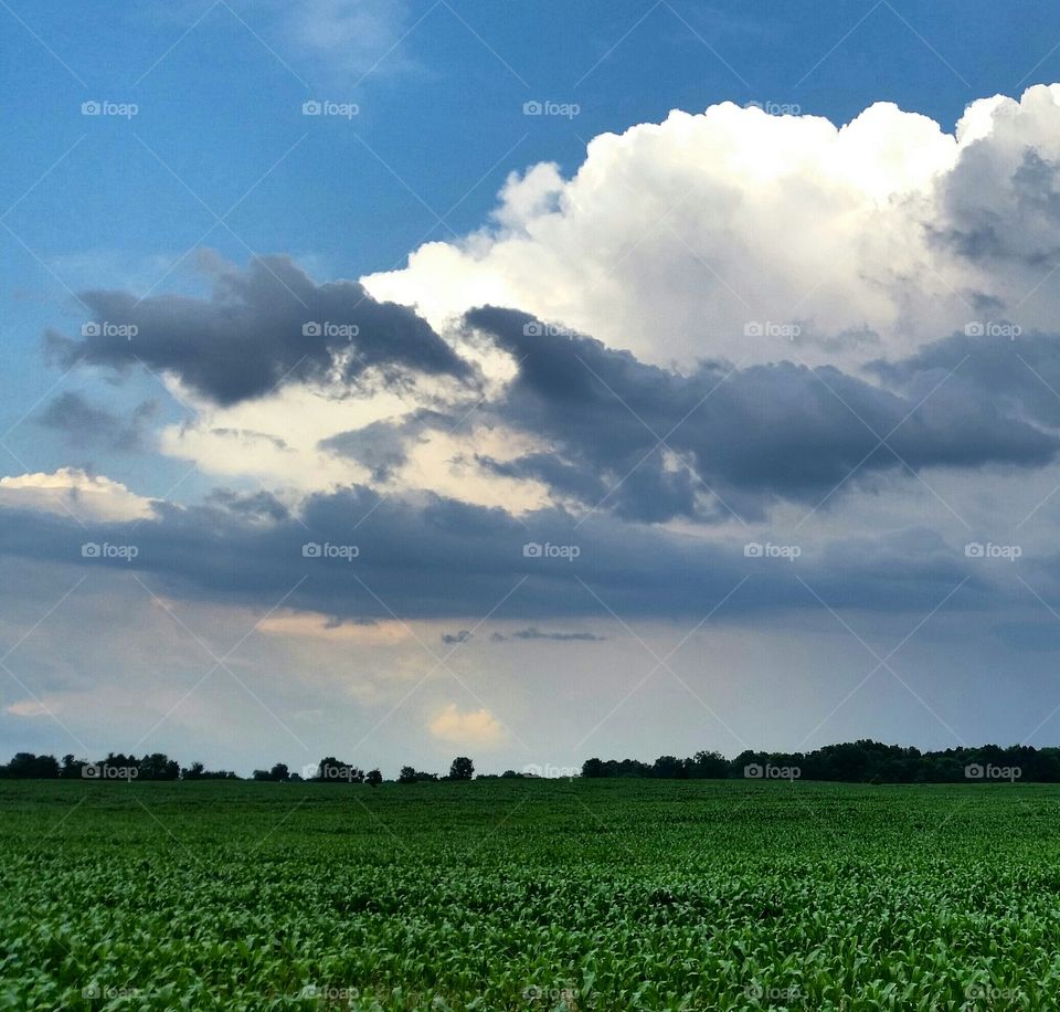Ohio Countryside . While driving back from work! 