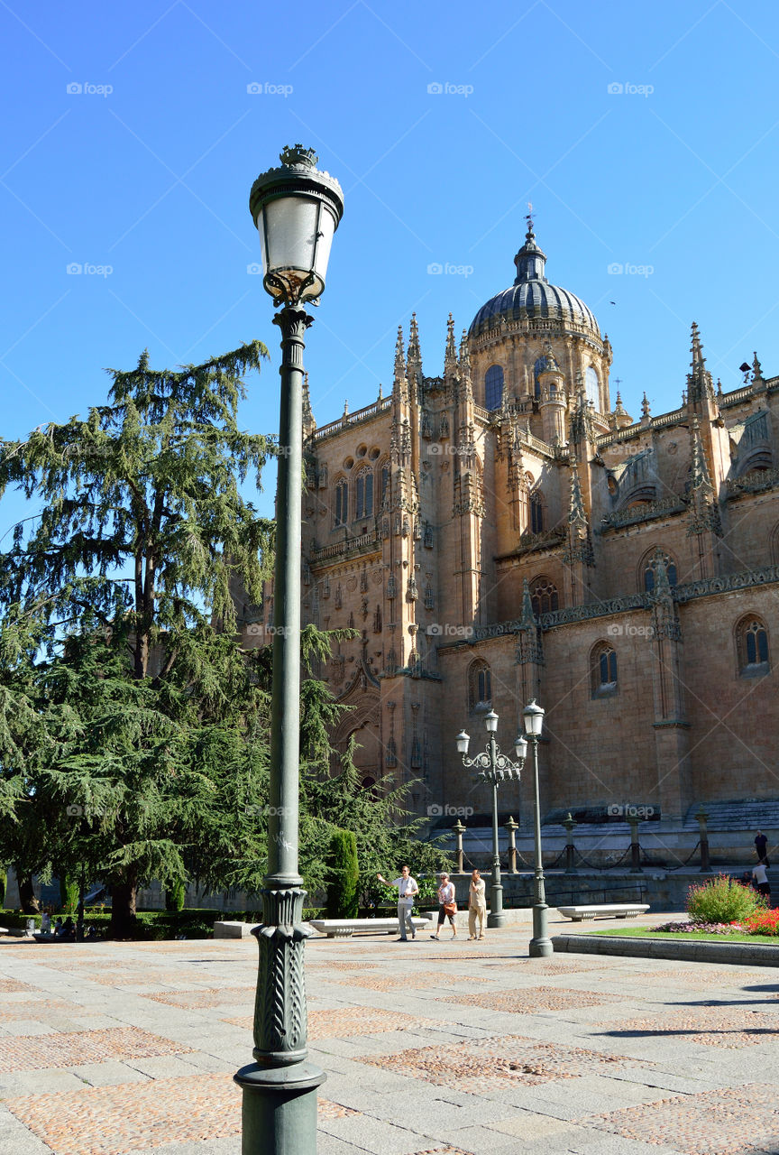 Side view of Salamanca cathedral, Spain.