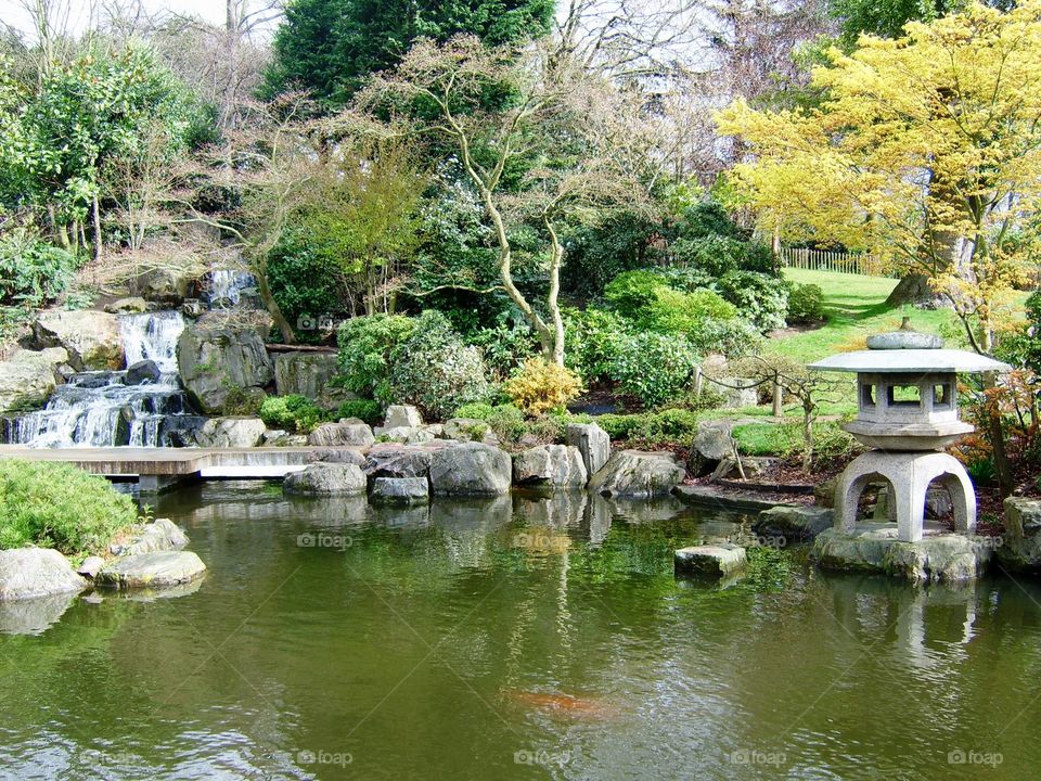Japanese garden in holland park ,London 