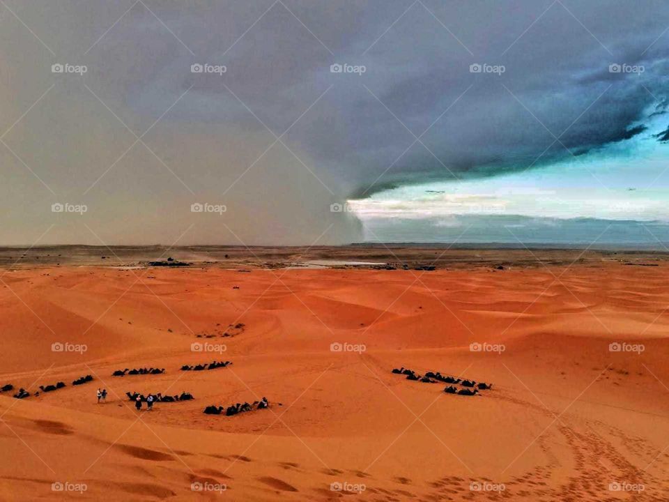 Desert sand storm by Color Love