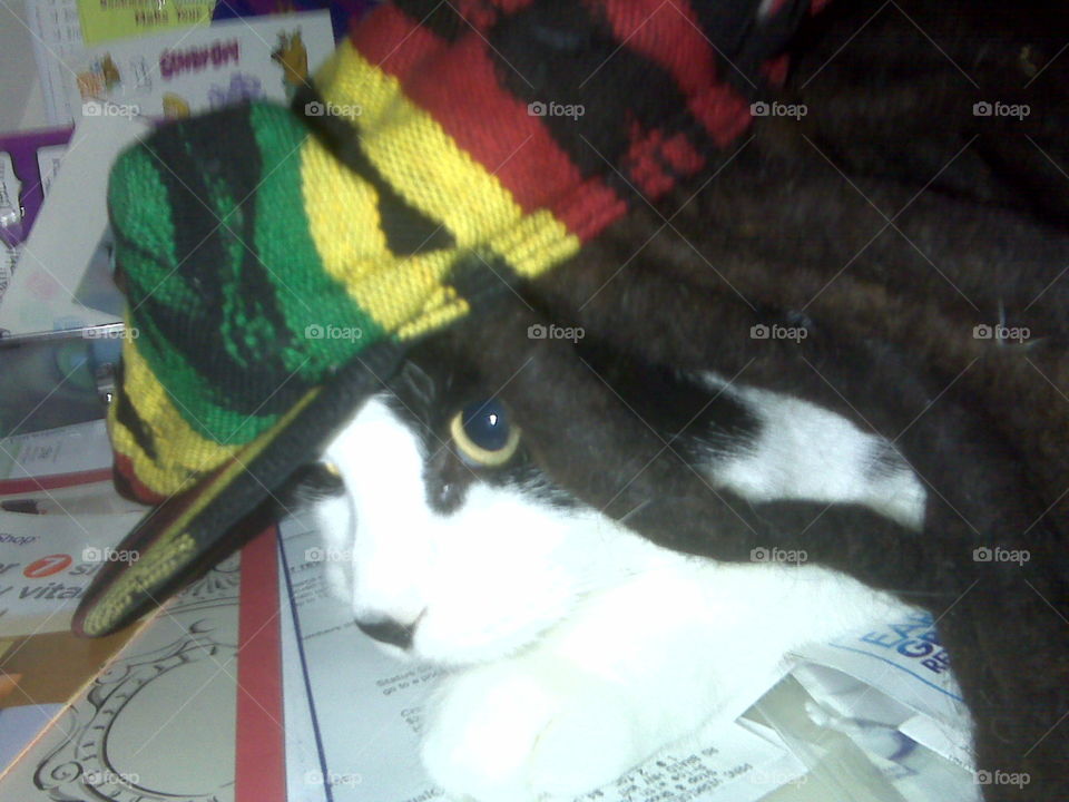 Rasta Tux