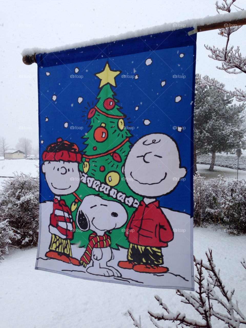 snow winter christmas snoopy by melody