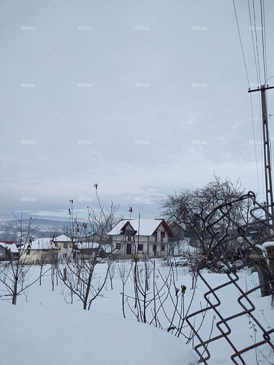 Wiew on a garden in December morning