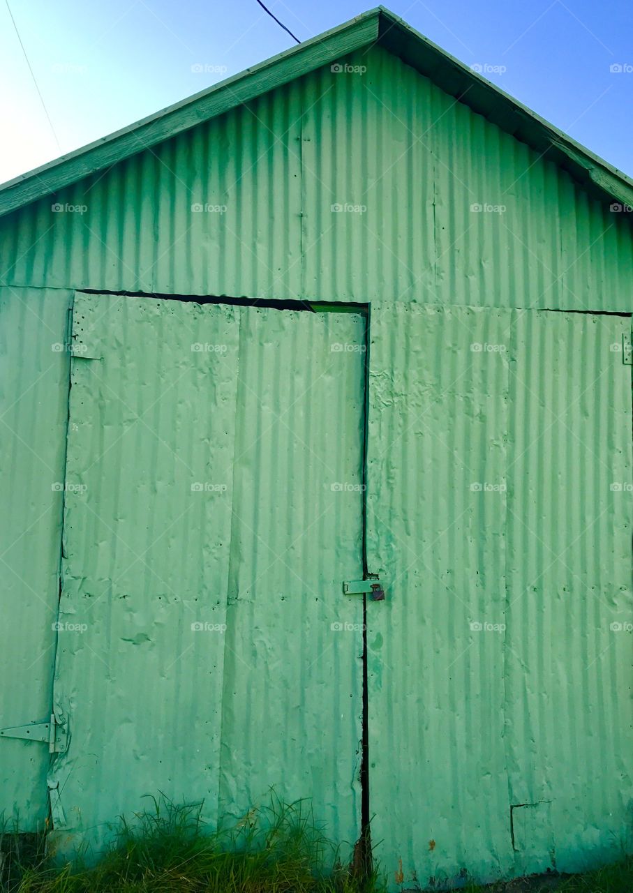 Shed Door