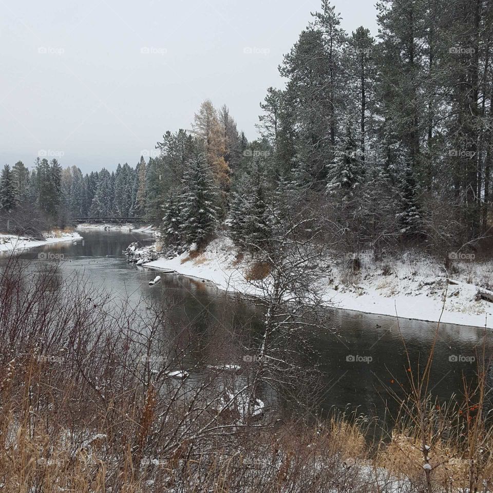 Snowy river