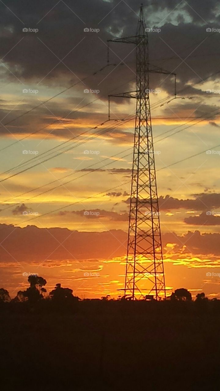 Wires at sunset