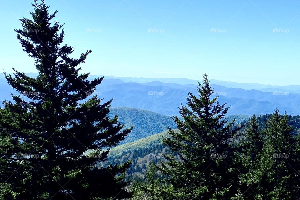 Blue Ridge Mountains Tennessee 