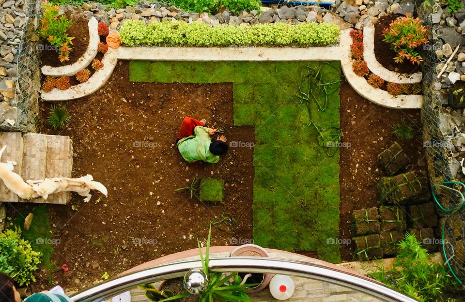 Landscaping creates designs especially on top view