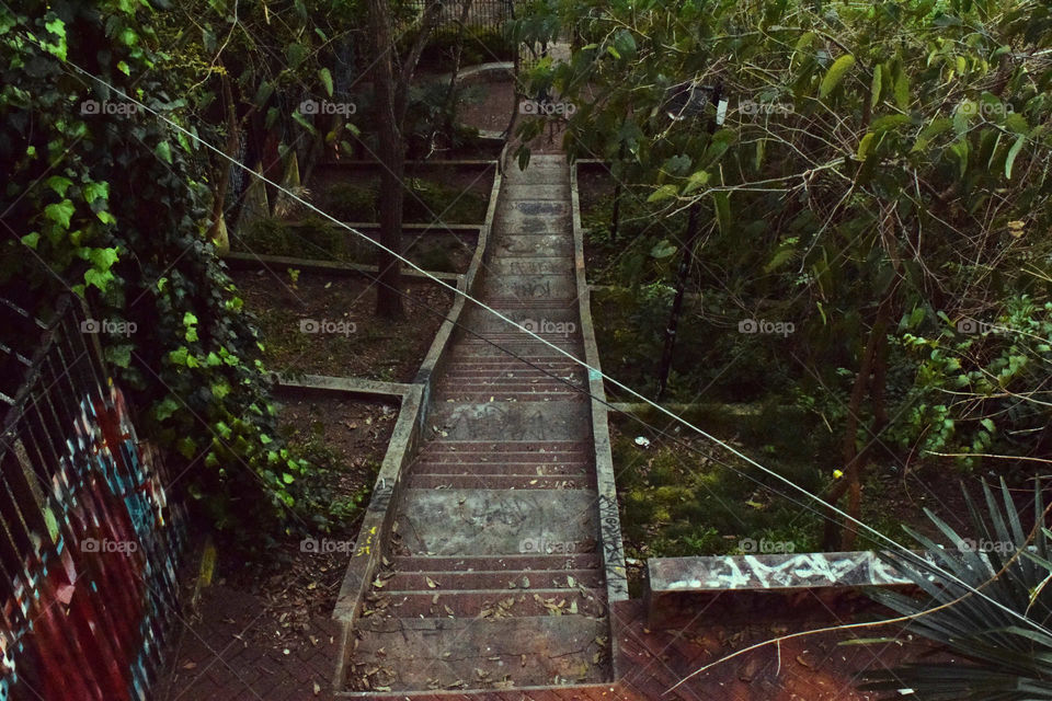 long stairs