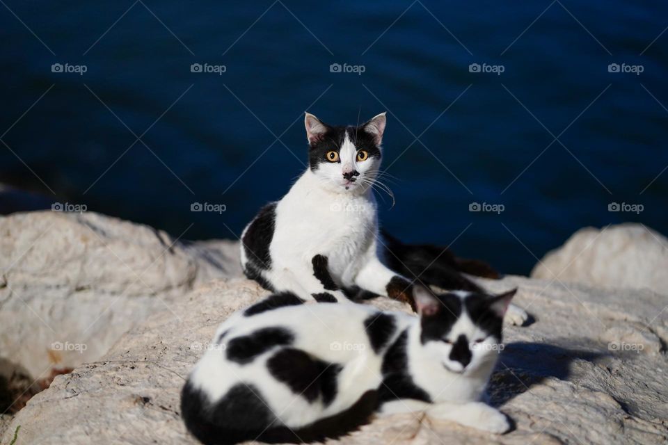 Editor’s choice. Photo of the week 