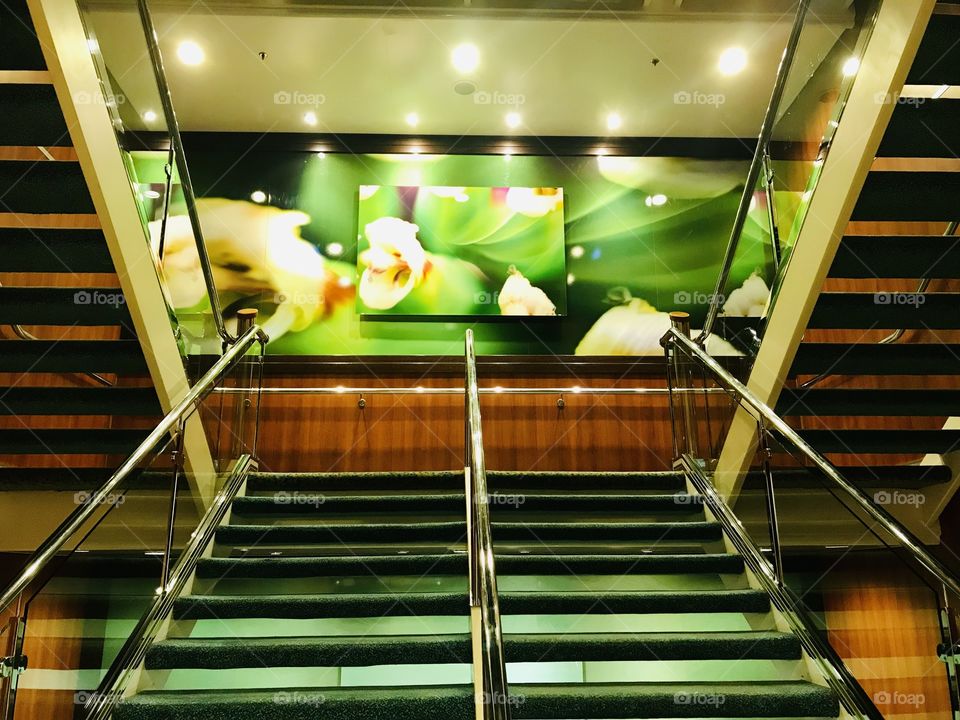 Gorgeous photos taken while on board cruise ship Royal Caribbean’s Oasis of the Seas! 