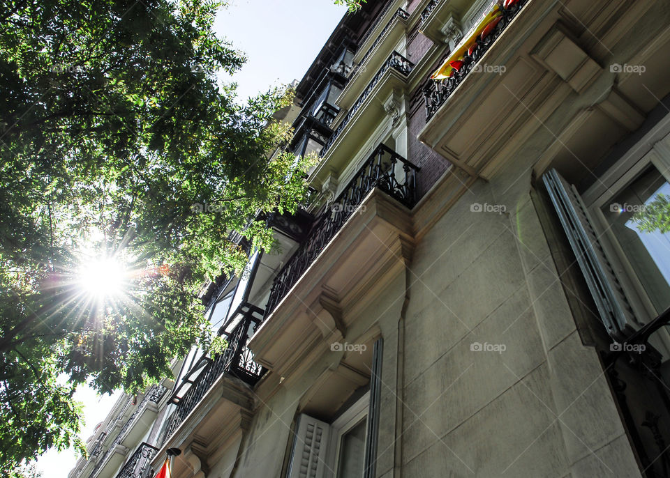 El sol traspasa las hojas de los árboles un día de verano de Madrid , haciéndonos soñar sobre este maravilloso viaje a la capital española para disfrutar con su impresionante arquitectura clásica.  Los balcones forjados de color negro es muy típico