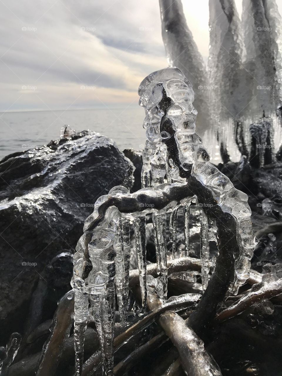 Ice coated details on Lake Huron