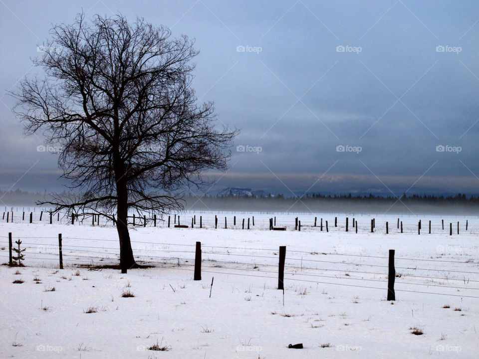 snow winter landscape field by hddatmyers