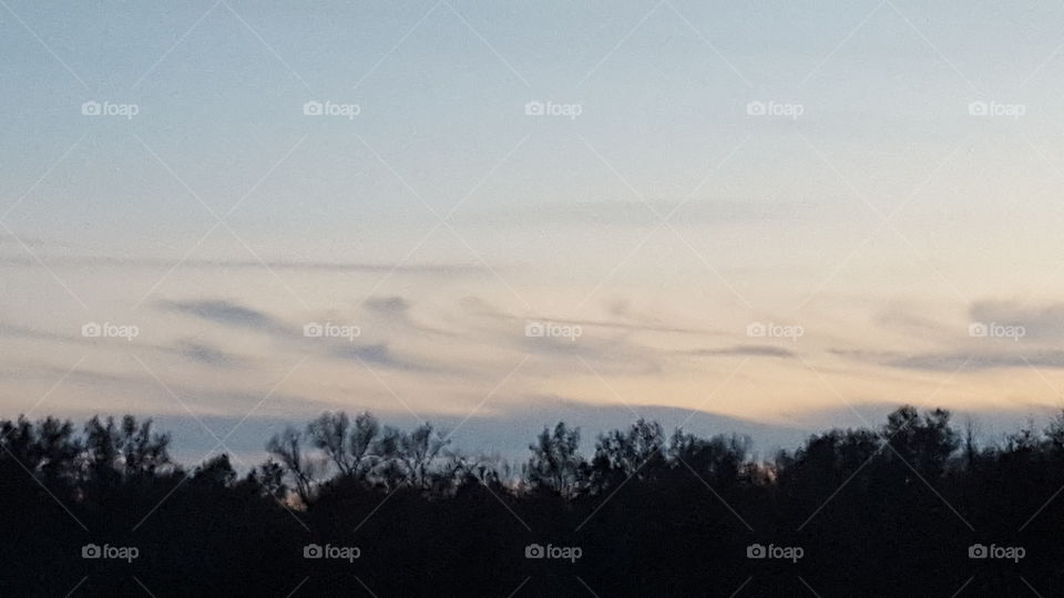 whispy clouds over the trees