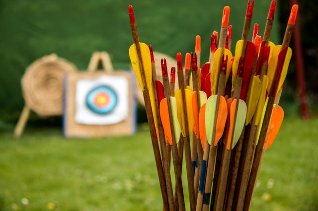 Close-up of archery bows