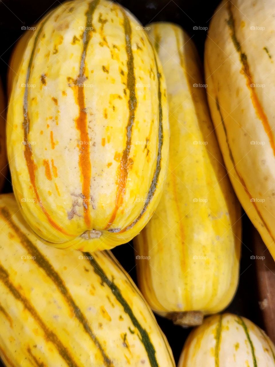 fresh striped yellow and orange summer squash for sale in the produce department of an Oregon market