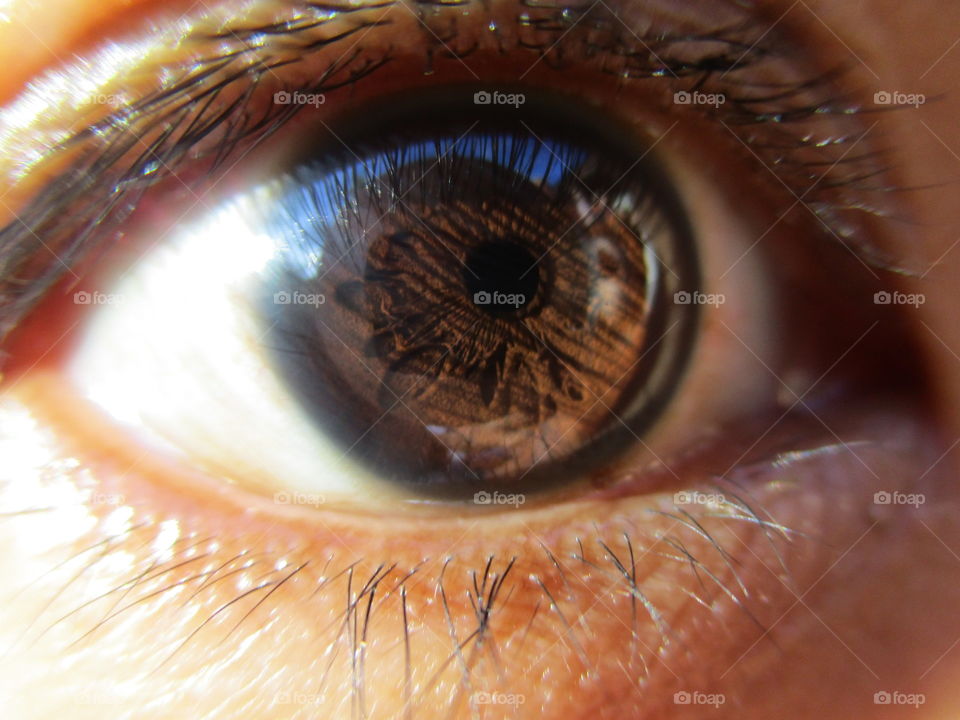 Detail of human eye