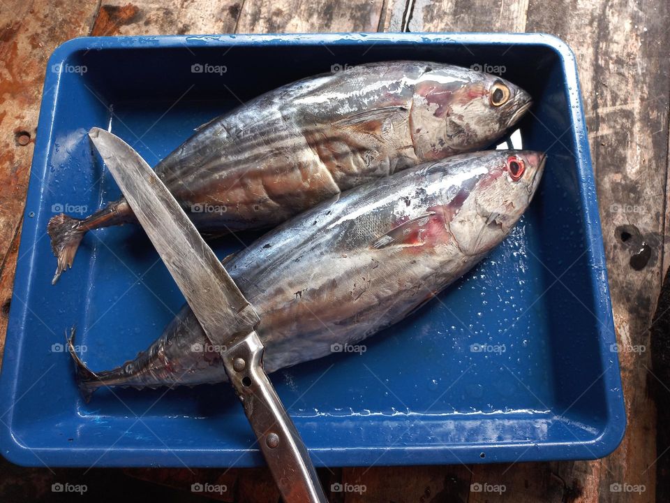 Fish that is ready to be sliced ​​or cooked