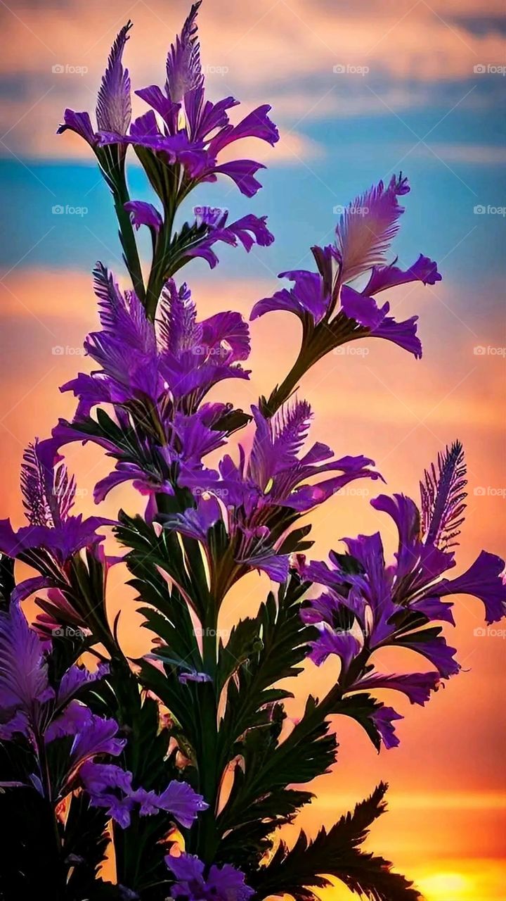 A very beautiful picture, and there is no better picture than it. There is no better picture of green herbs and colorful, red and white roses than it. Glory be to God, the natural and picturesque view, and there is no more wonderful picture than it.