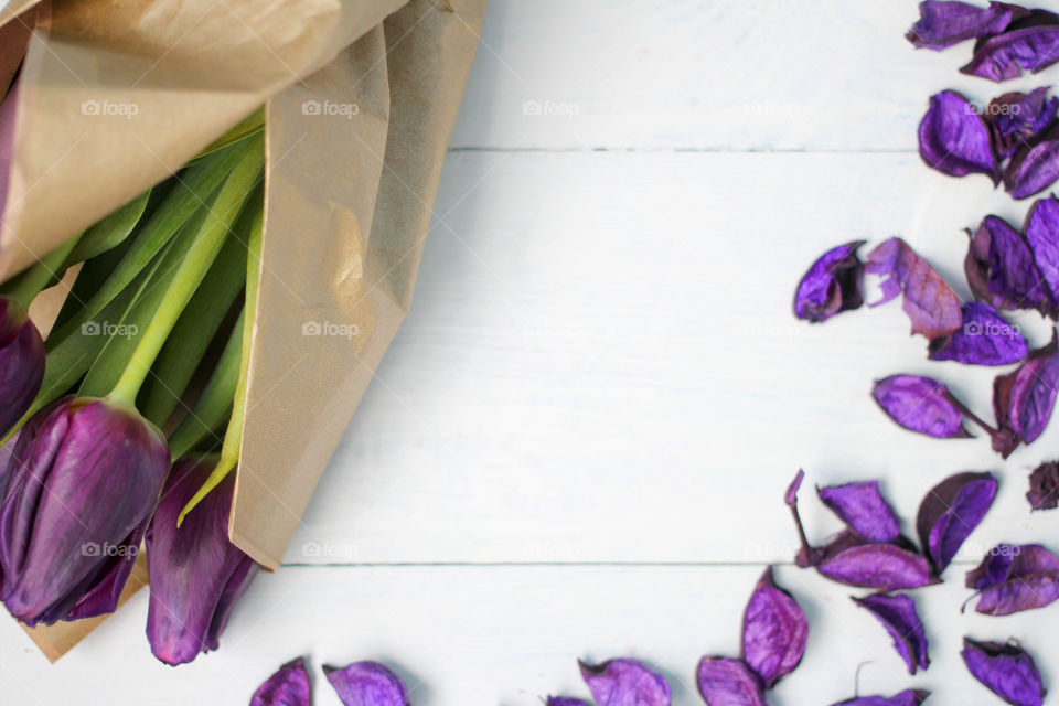 A bouquet of tulips and purple rose petals: congratulations, March 8 (International Women's Day), February 14th (Valentine's Day), holiday