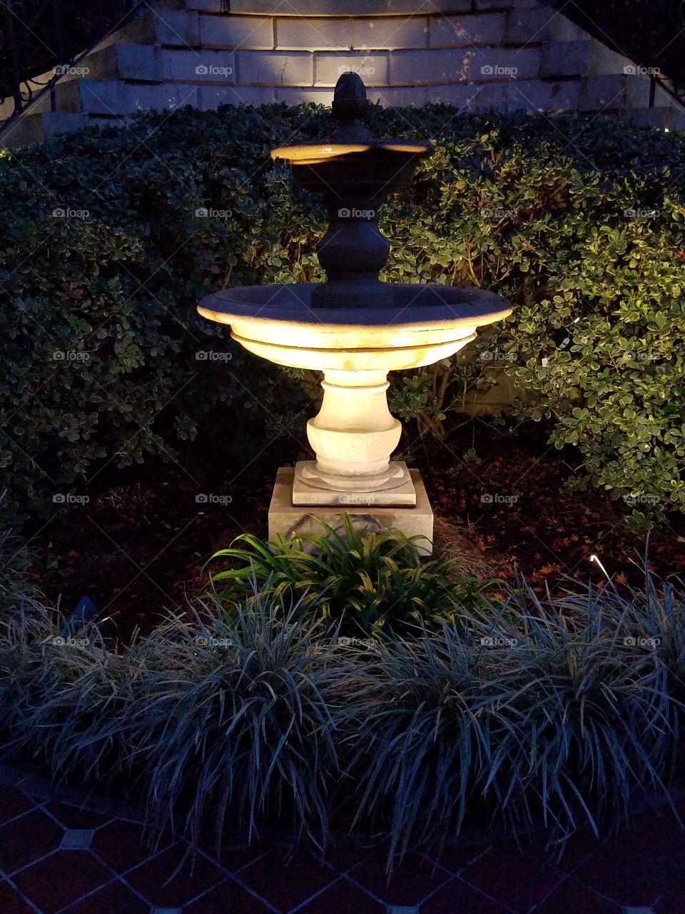 water fountain light up