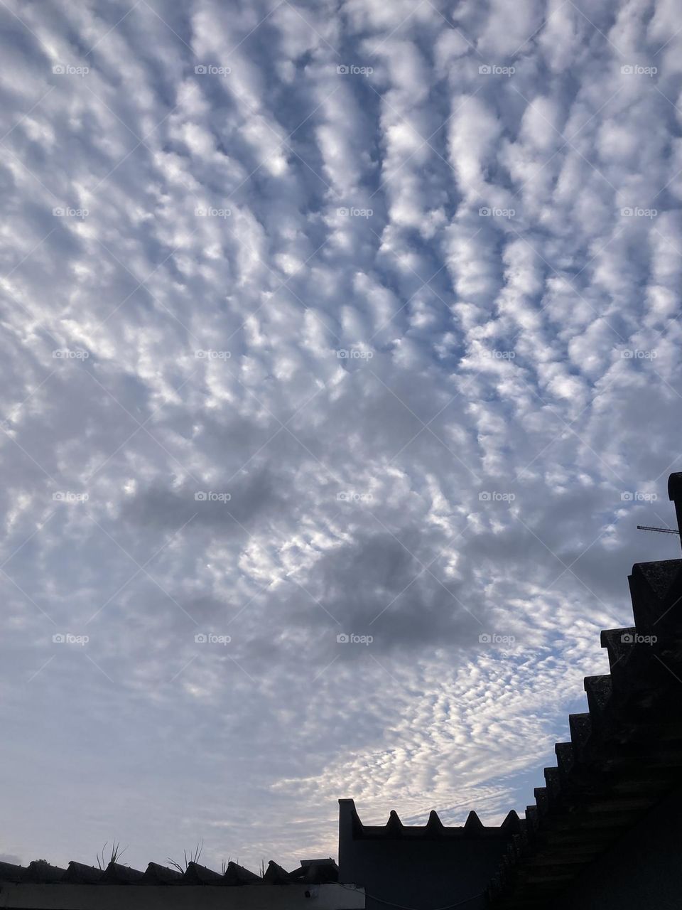 🌄🇺🇸 An extremely beautiful dawn in Jundiaí, interior of Brazil. Cheer the nature! / 🇧🇷 Um amanhecer extremamente bonito em Jundiaí, interior do Brasil. Viva a natureza! 
