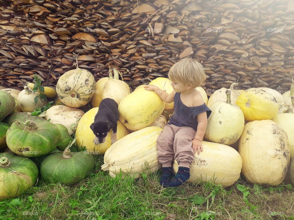 child and a funny puppy on the pumpkins