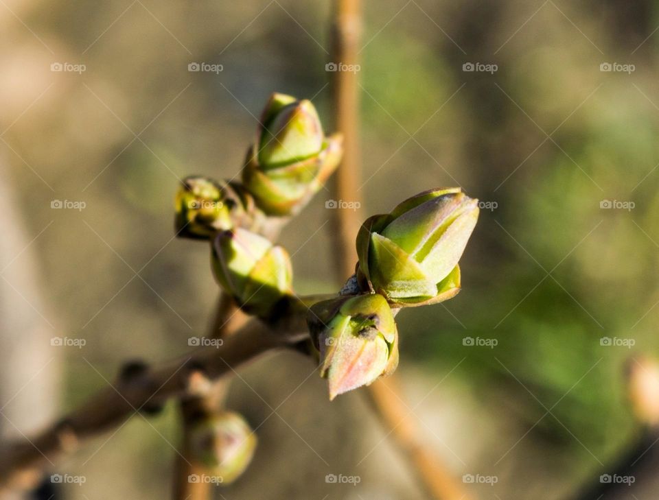 Ready to face the life