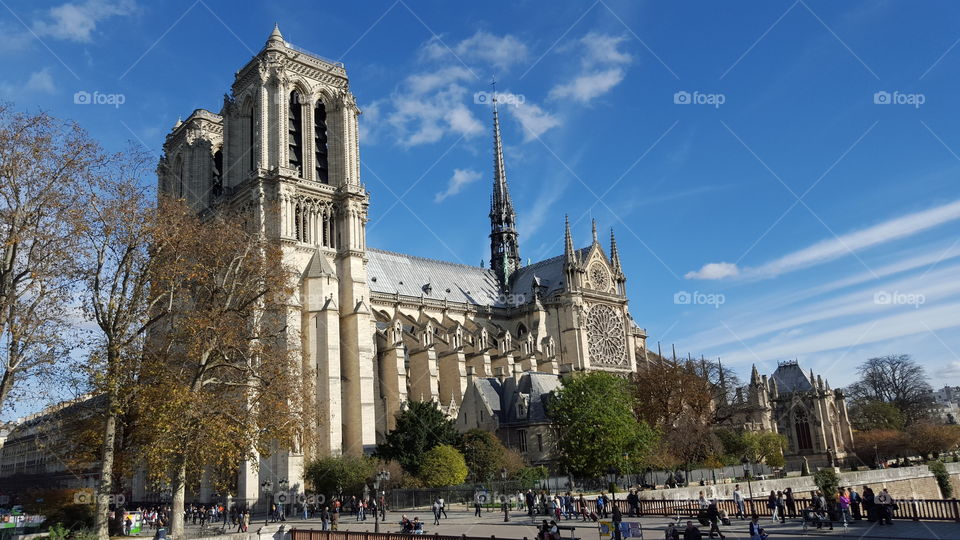 Notre Dame cathedral