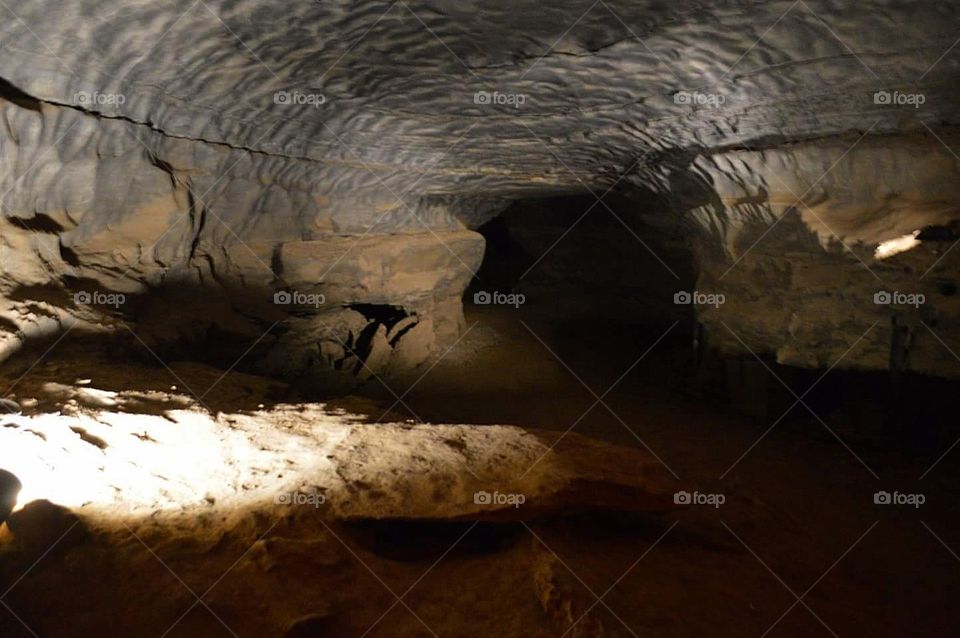 Mammoth Cave National Park