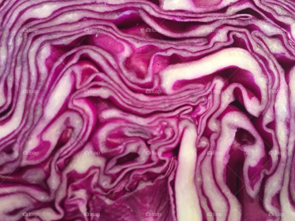 Cabbage Detail