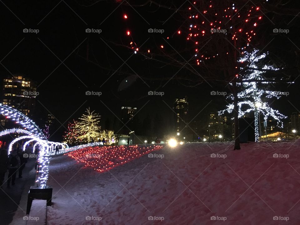 Lafarge lake Christmas light display