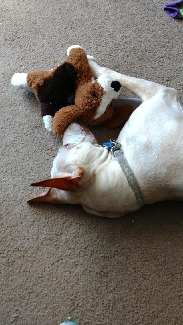 my buddy