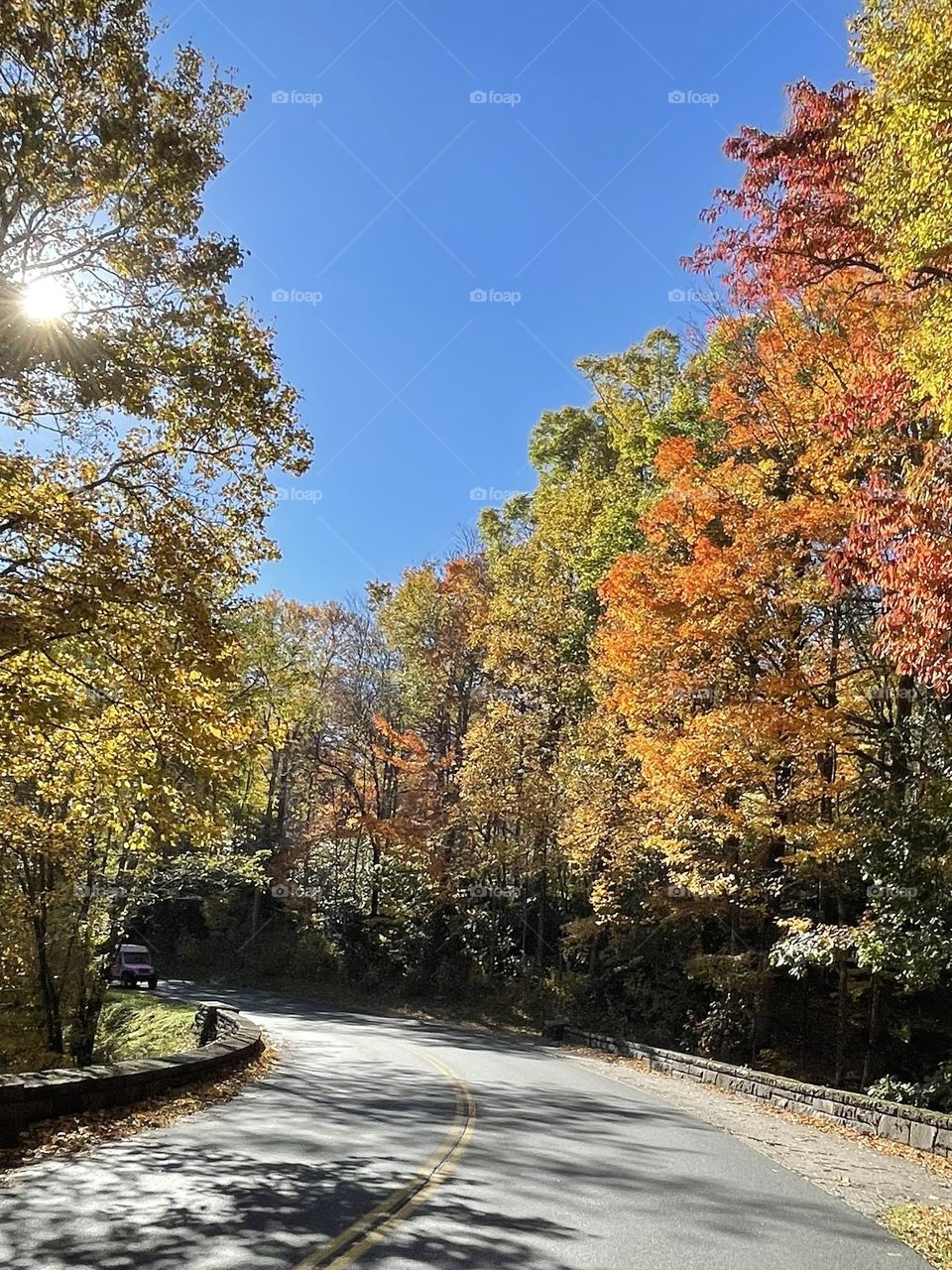 Road trip to see the colors 