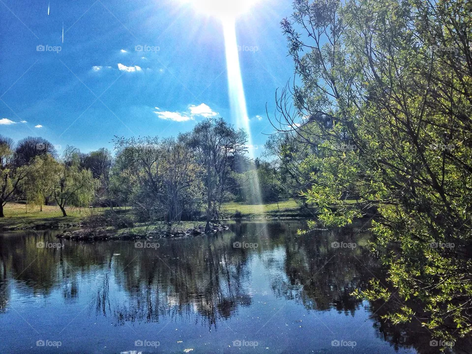 nature