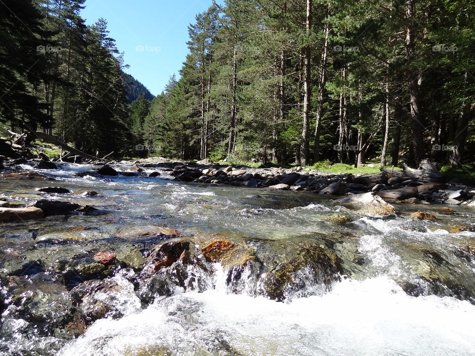 Small but beautiful Waterfall