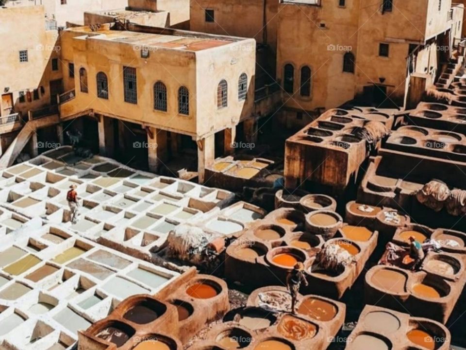 Morocco, fes ,dar dbagh