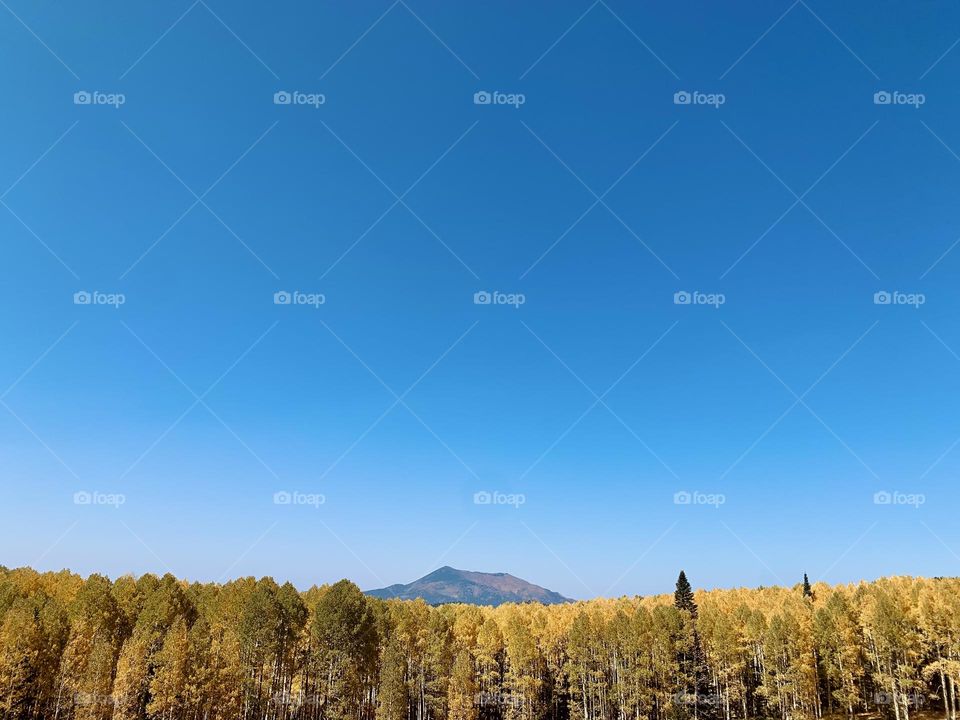 Mountain Views + Autumn colors. The best view on a warm Autumn day. 