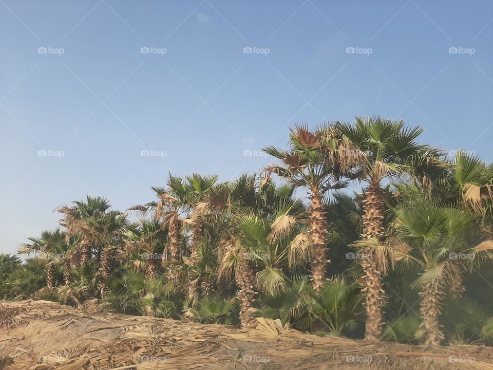 Please make me happy, I am poor, I need your help with support