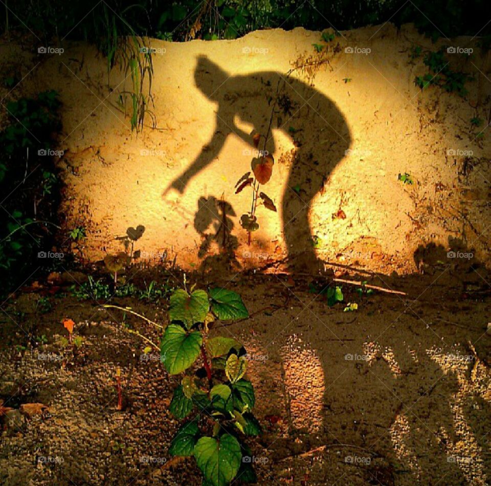 Love has a Shadow Too