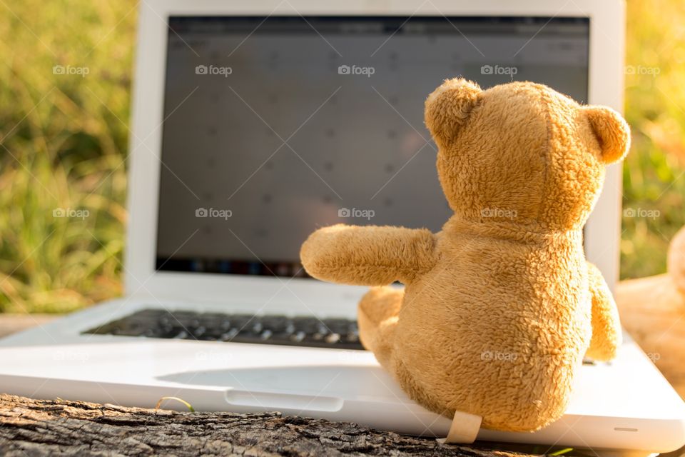 Teddy Bear sitting on a notebook 