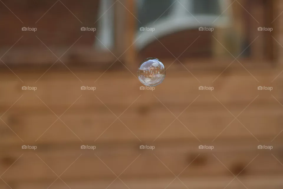Blur, No Person, Wood, Rain, Nature