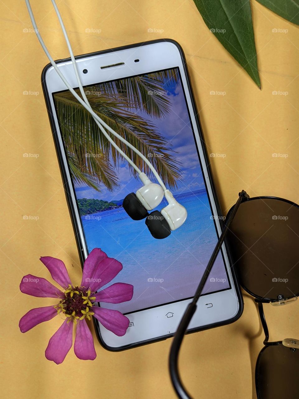 summer vacation time